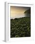 Stone beach at low tide, Orcas Island, Washington, USA-Charles Gurche-Framed Photographic Print