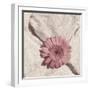 Stone Blossom II-Jason Johnson-Framed Photographic Print