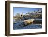 Stone Bridge and Cotswold Cottages in Snow, Lower Slaughter, Cotswolds, Gloucestershire, England-Stuart Black-Framed Photographic Print