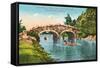 Stone Bridge, Golden Gate Park-null-Framed Stretched Canvas