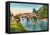 Stone Bridge, Golden Gate Park-null-Framed Stretched Canvas