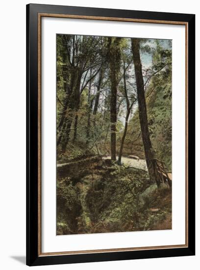 Stone Bridge in Shanklin Chine-null-Framed Photographic Print