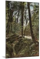 Stone Bridge in Shanklin Chine-null-Mounted Photographic Print
