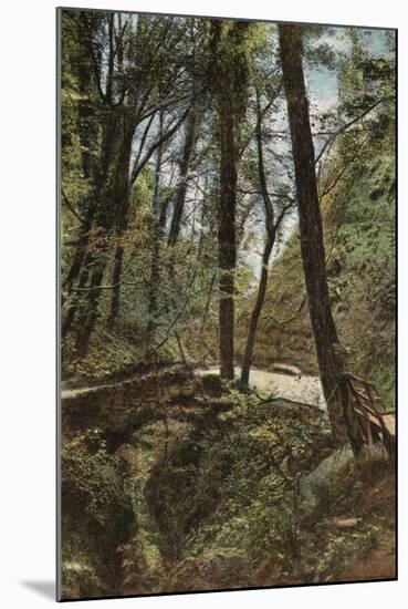 Stone Bridge in Shanklin Chine-null-Mounted Photographic Print