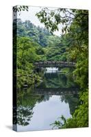 Stone Bridge with Flowers in Seogwipo, Island of Jejudo, South Korea-Michael Runkel-Stretched Canvas