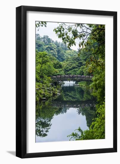 Stone Bridge with Flowers in Seogwipo, Island of Jejudo, South Korea-Michael Runkel-Framed Premium Photographic Print