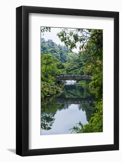 Stone Bridge with Flowers in Seogwipo, Island of Jejudo, South Korea-Michael Runkel-Framed Photographic Print