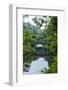 Stone Bridge with Flowers in Seogwipo, Island of Jejudo, South Korea-Michael Runkel-Framed Photographic Print