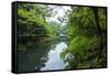 Stone Bridge with Flowers in Seogwipo, Jejudo Island, South Korea-Michael Runkel-Framed Stretched Canvas