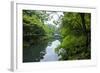 Stone Bridge with Flowers in Seogwipo, Jejudo Island, South Korea-Michael Runkel-Framed Photographic Print