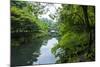 Stone Bridge with Flowers in Seogwipo, Jejudo Island, South Korea-Michael Runkel-Mounted Photographic Print