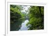 Stone Bridge with Flowers in Seogwipo, Jejudo Island, South Korea-Michael Runkel-Framed Photographic Print