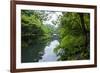 Stone Bridge with Flowers in Seogwipo, Jejudo Island, South Korea-Michael Runkel-Framed Photographic Print