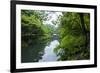 Stone Bridge with Flowers in Seogwipo, Jejudo Island, South Korea-Michael Runkel-Framed Photographic Print