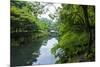 Stone Bridge with Flowers in Seogwipo, Jejudo Island, South Korea-Michael Runkel-Mounted Photographic Print