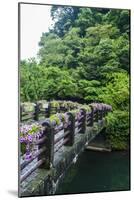 Stone Bridge with Flowers in Seogwipo-Michael-Mounted Photographic Print