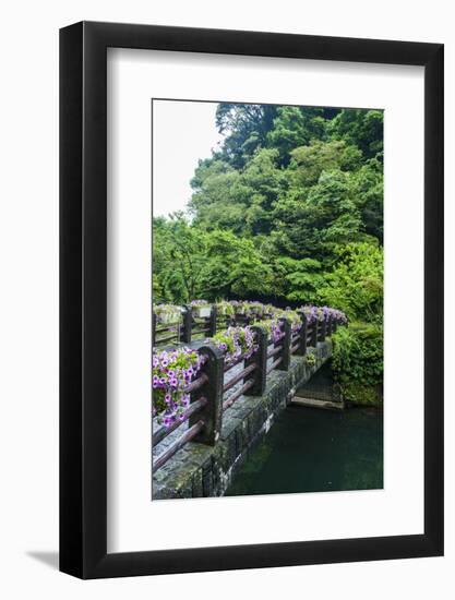 Stone Bridge with Flowers in Seogwipo-Michael-Framed Photographic Print