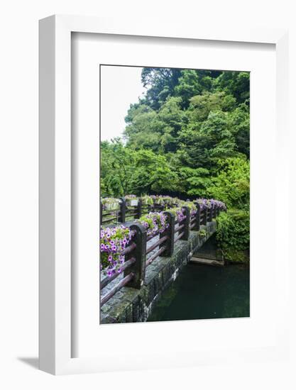 Stone Bridge with Flowers in Seogwipo-Michael-Framed Photographic Print