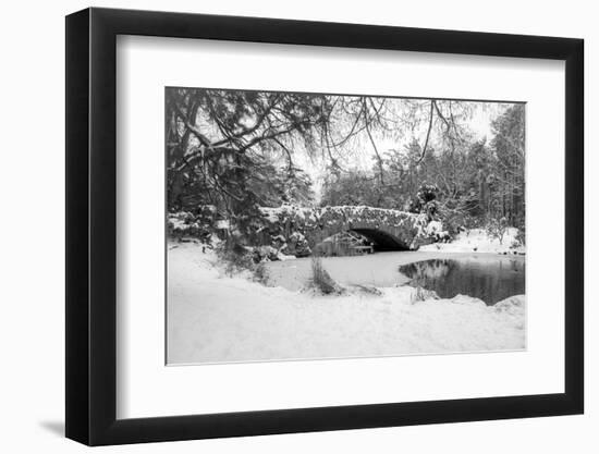 Stone Bridge-Tim Oldford-Framed Photographic Print