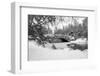 Stone Bridge-Tim Oldford-Framed Photographic Print