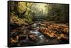 Stone Bridge-Danny Head-Framed Stretched Canvas