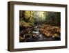 Stone Bridge-Danny Head-Framed Photographic Print