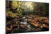 Stone Bridge-Danny Head-Mounted Photographic Print