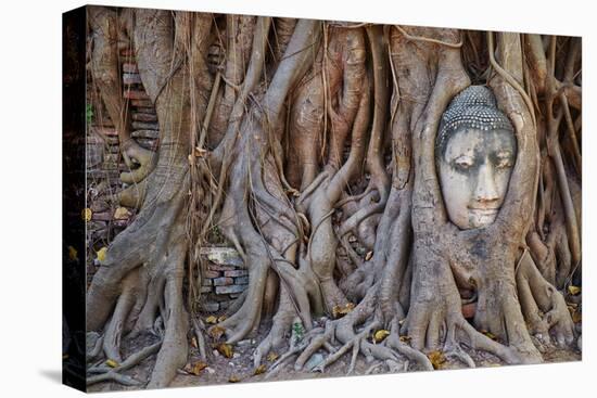 Stone Buddha Head Entwined in the Roots of a Fig Tree, Wat Mahatat, Ayutthaya Historical Park-null-Stretched Canvas