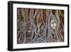 Stone Buddha Head Entwined in the Roots of a Fig Tree, Wat Mahatat, Ayutthaya Historical Park-null-Framed Photographic Print