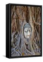 Stone Buddha Head Entwined in the Roots of a Fig Tree, Wat Mahatat, Ayutthaya Historical Park-null-Framed Stretched Canvas