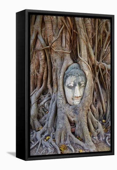 Stone Buddha Head Entwined in the Roots of a Fig Tree, Wat Mahatat, Ayutthaya Historical Park-null-Framed Stretched Canvas