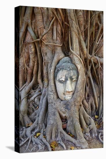 Stone Buddha Head Entwined in the Roots of a Fig Tree, Wat Mahatat, Ayutthaya Historical Park-null-Stretched Canvas
