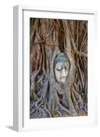 Stone Buddha Head Entwined in the Roots of a Fig Tree, Wat Mahatat, Ayutthaya Historical Park-null-Framed Photographic Print