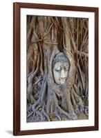 Stone Buddha Head Entwined in the Roots of a Fig Tree, Wat Mahatat, Ayutthaya Historical Park-null-Framed Photographic Print