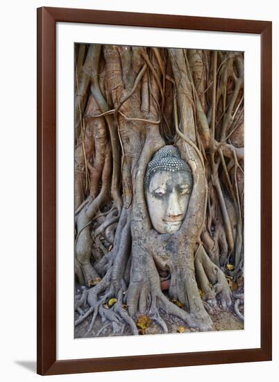 Stone Buddha Head Entwined in the Roots of a Fig Tree, Wat Mahatat, Ayutthaya Historical Park-null-Framed Photographic Print