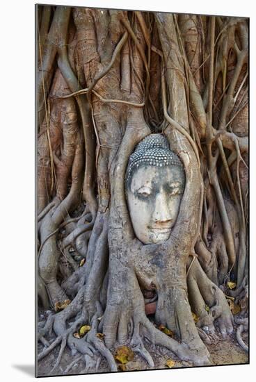 Stone Buddha Head Entwined in the Roots of a Fig Tree, Wat Mahatat, Ayutthaya Historical Park-null-Mounted Photographic Print