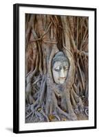 Stone Buddha Head Entwined in the Roots of a Fig Tree, Wat Mahatat, Ayutthaya Historical Park-null-Framed Photographic Print