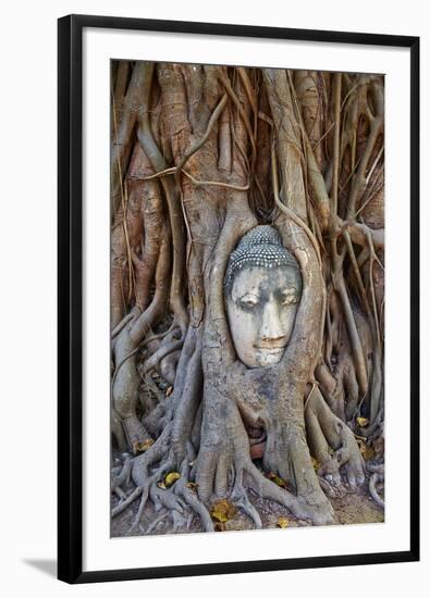 Stone Buddha Head Entwined in the Roots of a Fig Tree, Wat Mahatat, Ayutthaya Historical Park-null-Framed Photographic Print