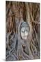 Stone Buddha Head Entwined in the Roots of a Fig Tree, Wat Mahatat, Ayutthaya Historical Park-null-Mounted Photographic Print