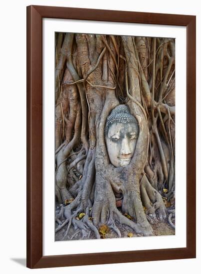 Stone Buddha Head Entwined in the Roots of a Fig Tree, Wat Mahatat, Ayutthaya Historical Park-null-Framed Photographic Print