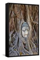 Stone Buddha Head Entwined in the Roots of a Fig Tree, Wat Mahatat, Ayutthaya Historical Park-null-Framed Stretched Canvas