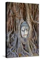 Stone Buddha Head Entwined in the Roots of a Fig Tree, Wat Mahatat, Ayutthaya Historical Park-null-Stretched Canvas