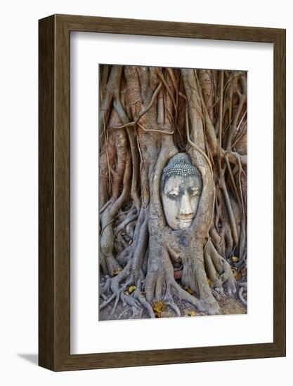 Stone Buddha Head Entwined in the Roots of a Fig Tree, Wat Mahatat, Ayutthaya Historical Park-null-Framed Photographic Print