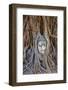 Stone Buddha Head Entwined in the Roots of a Fig Tree, Wat Mahatat, Ayutthaya Historical Park-null-Framed Photographic Print