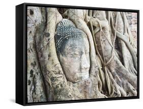 Stone Buddha Head in Fig Tree, Wat Mahathat, Ayutthaya City, UNESCO World Heritage Site, Thailand-Matthew Williams-Ellis-Framed Stretched Canvas