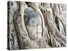 Stone Buddha Head in Fig Tree, Wat Mahathat, Ayutthaya City, UNESCO World Heritage Site, Thailand-Matthew Williams-Ellis-Stretched Canvas