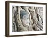 Stone Buddha Head in Fig Tree, Wat Mahathat, Ayutthaya City, UNESCO World Heritage Site, Thailand-Matthew Williams-Ellis-Framed Photographic Print