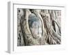 Stone Buddha Head in Fig Tree, Wat Mahathat, Ayutthaya City, UNESCO World Heritage Site, Thailand-Matthew Williams-Ellis-Framed Photographic Print