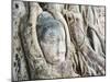 Stone Buddha Head in Fig Tree, Wat Mahathat, Ayutthaya City, UNESCO World Heritage Site, Thailand-Matthew Williams-Ellis-Mounted Photographic Print