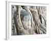 Stone Buddha Head in Fig Tree, Wat Mahathat, Ayutthaya City, UNESCO World Heritage Site, Thailand-Matthew Williams-Ellis-Framed Photographic Print